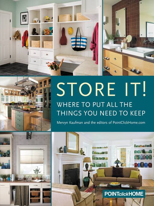 Title details for Store It! by Mervyn Kaufman - Available